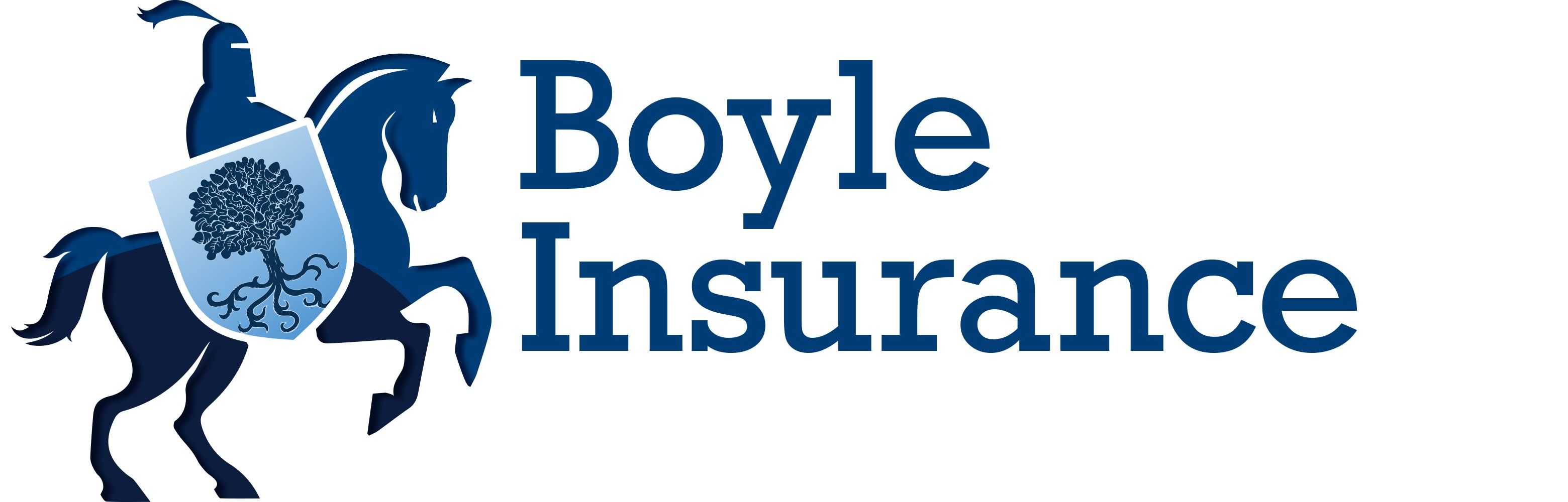 Boyle Insurance Group logo