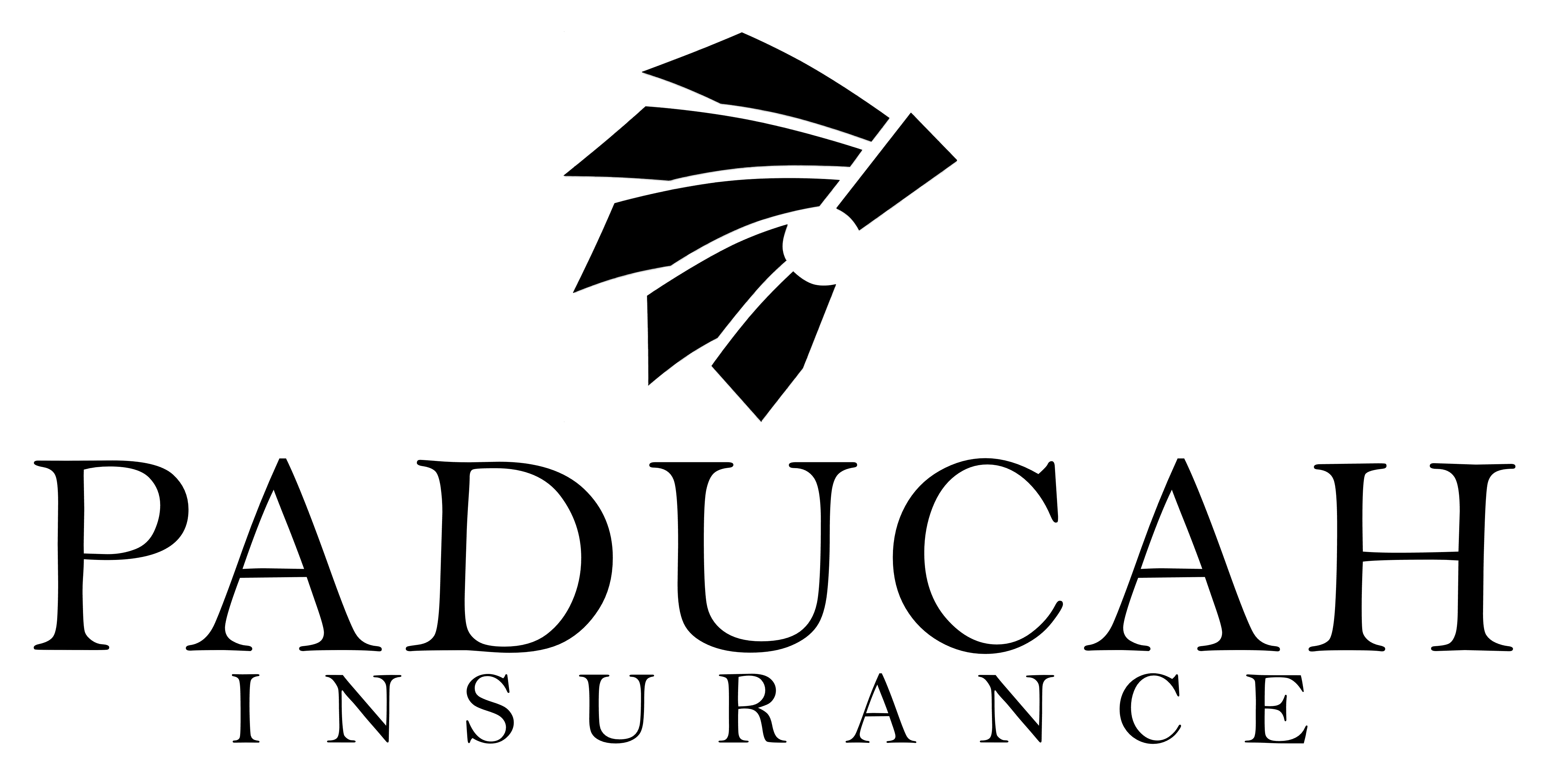 Paducah Insurance Agency, LLC logo